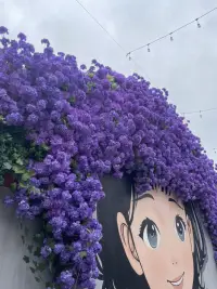 我们要学会温柔的对待生命，坚定的对待事情！