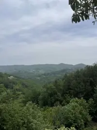 和朋友的吐槽，可能当时让我们一吐为快，觉得很爽很过瘾，可是过后想想，自己并没有收获到什么，还会觉得很空虚，有时候还会后悔当时说出了不该说的秘密。
和咨询师聊天，你会收获自我反思和成长，这就是区别！
