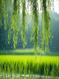 如果在生活中的大多時(shí)候，你不能按照自己內(nèi)心真實(shí)的想法去生活，總是壓抑和委屈自己，那么在你的內(nèi)心深處就會積攢很多的怨氣和憤怒，到達(dá)一定程度在合適的時(shí)候就會爆發(fā)出來，可能會傷害到你還有你和他人之間的關(guān)系。配圖