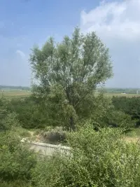 如果你習(xí)慣用本能的情緒反應(yīng)去解決問題，那么可能你是無法說服對(duì)方，只能用權(quán)力或暴躁的情緒使對(duì)方暫時(shí)妥協(xié)；
真正有效的方法是，真誠有效的溝通，去影響對(duì)方！配圖