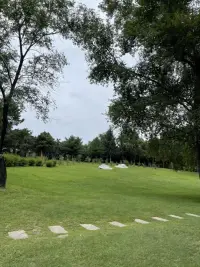 如果你在平时生活中做的总是比想的多，可能你的内耗就会比较少；如果你总是想很多，可是却没有行动，那么你的内耗就会很多，你的情绪和心情也会因为你的内耗而受到一定影响，问问自己你想要的是什么，然后直接去付出你的行动，付出总会有不一样的收获。