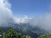 在人际交往过程中，你的内心是坦然、开放和接纳的？
       又或者你是紧张和害怕的？担心自己说错话，担心说出来的话对方是否爱听，担心对方因为你的一些行为而不喜欢你，你在此刻最大的想法是要对方能满意，而忽略了自己的感受，只在意对方对你的看法，这样的模式会让你感到很累也不能真实的做自己。
如果你是第一种那么恭喜你，你的人际关系会是很和谐和舒畅的，你能表达自我也能允许对方表达，这是一种较好的沟通模式。
如果你是第二种，也没关系，这些都是可以改变的，你从和父母沟通的过程中习得的这种模式，通过可以训练是可以改变的。
