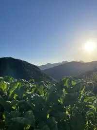 人首先要让自己开心和快乐，只有你快乐的时候你的智商、情商、财商等才能被激发出来。