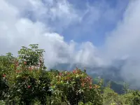 減少對別人的依賴，降低自己對于外界的期待，自己為自己負起應有的責任！