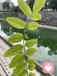 人際交往中需要建立好自己的邊界，邊界是告訴別人我的底線是什么，想要和我愉快相處就要遵守我的邊界！配圖