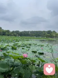 夢想不是放在心里就可以的，也不需要小心呵護她，要全力以赴，不顧一些去靠近她！配圖