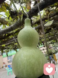 你和自己的關系就是你和世界的關系，當你愛上自己，世界也會愛上你！配圖