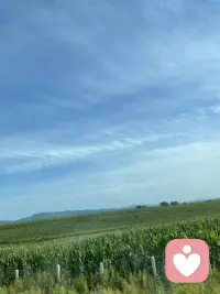 自我分析是很難的，因為你沒有新的想法和經驗，求助在這個時候是你自我救贖的另一用方式，而且非常好用。配圖