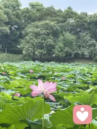 關(guān)注自己此刻的感受是怎樣的，開心、平靜、煩躁喜悅，嘗試每天多幾次和自己的鏈接配圖