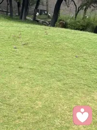 拉長時間去看，最終站在領(lǐng)獎臺上的人，是付出非凡努力的人？配圖