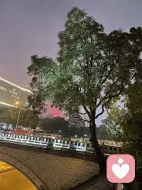 我們需要像大樹一樣，向下狠狠的扎根，向上不斷生長！配圖