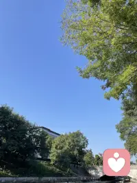 今天是比假期还要开心的一天，喜迎国庆！配图