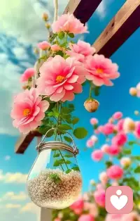 當(dāng)你溫柔而堅定的對待這個世界的時候，世界好像被你掌控，遇到的事情你都可以有自己的選擇；當(dāng)你怯懦、害怕這個世界，這個世界也會小看你；你怎么對待這個世界，它反過來就會怎么影響你，種瓜得瓜，種豆得豆，希望我們都可以得到 自己想要的！配圖