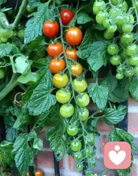 你的生活怎么過，過成了什么樣？大多時候都是自己選擇的，你的心態決定了你過什么樣的生活！配圖