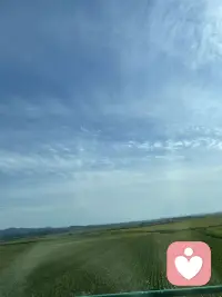 一個人對自己的評價、把自己擺放的位置，是由撫養人對待她/他的態度和評價決定的，一個人把自己的位置放的很低很低，可能在撫養人那里他的位置就很低很低；一個人把自己放在很重要的位置，那么可能就是撫養人對他很重視。配圖