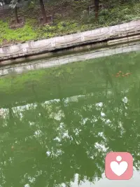 家是讲情、讲爱的地方，不是你讲理的地方，如果你在家过分讲理有可能会伤了感情，你想要的你是对的她是错的？还是大家都高高兴兴、开开心心的？