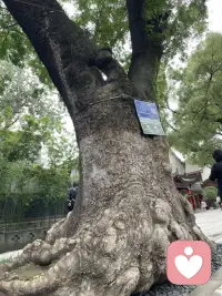 一個人在長期處在溫暖、包容、尊重，沒有批評、指責、沒有評判，就是說無論自己做什么都是被允許的，那么這個人就會有足夠得安全感，遇到事情的時候就會尊重自己的內心，選擇自己想要的，而不會收到外界各種因素的干擾，會更客觀，內心也會更健康。配圖