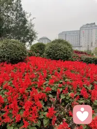 父母關系和諧，用愛心和耐心托舉起來的孩子，內心陽光、健康、內心幸福。配圖