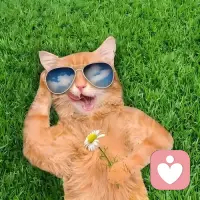 在長大后，有一部分人會用父母對待他的方式去對待父母，這不是他故意的，是小時候習得到的一種模式，直接拿來用了！配圖