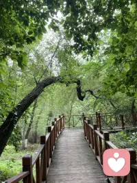 把讓自己快樂當成一個重要的任務和目標，可以抵御你的內耗和不開心！配圖