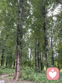 對于任何事情要有自己的想法和判斷，這樣可以鍛煉你獨立思考的能力，遇到事情能獨立思考的人才能有創造力！