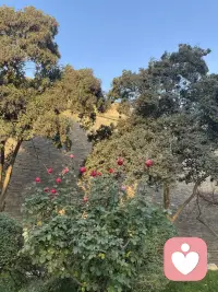 如果你總是習慣性想太多，又無法控制，別人的一個眼神、一個動作都會讓你浮想聯(lián)翩，和自己關(guān)聯(lián)起來；你總是不敢做真實的自己，內(nèi)心的擔憂和顧慮太多，嘗試把自己向外的心收回來，安安靜靜，勇敢大膽的做自己，把自己的需求放在首位！