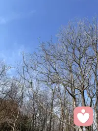 爬山会让人的状态发生改变，带来好的运气🍀