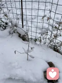 一个人的生活经历形成了今天的自己，所以，想要真正了解一个人，必须要了解他经历了什么。配图