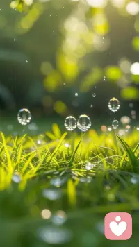 你希望别人怎么对待你，你就怎么对待别人！