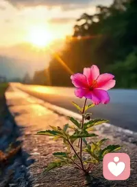 情绪不必被“管理”，而应当被“阅读”；管理意味着控制，阅读则通向理解。配图