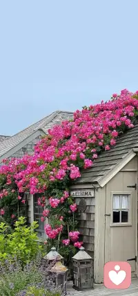 你用什么样的方式对待你自己，大多时候就会用同样的方式对待别人，有时候看起来好像不一样，可能是因为你们之间还不够熟悉，所以你没有表现出真实的我。配图