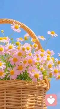 当我们能觉察到自己的需求，并且能照顾到自己的渴望，不委屈自己，能合理表达需要的时候，我们内心会坦然很多，不会有那么多的愤怒和不平衡。配图