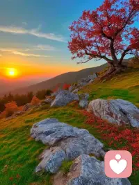 将自己的想法隐藏起来，因为担心和害怕而不敢说，这对自己来说是不公平的，会让我们内心感受到压抑和委屈，进而对外界产生不满。