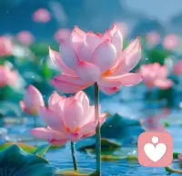 夫妻之间，当你特别排斥和对方有肢体接触的时候，可能是你们之间积累了太多怨恨和愤怒，有太多的矛盾没有化解，一看到对方或者一听对方说话就觉得不舒服。