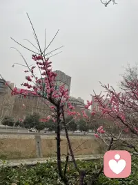 春天的印记！配图