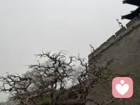 春天的印记！配图