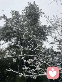 西安的大雪，很美！配图