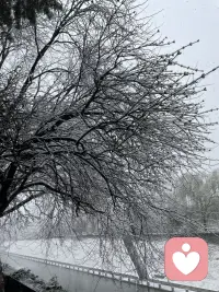 西安的大雪，很美！配图