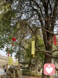 不敢表达自己内心想法的人，不是一直都是这样的，在幼小的时候，我们都是“童言无忌”，随着年龄的增长，家长会要求我们，如果说“错”了话会受到惩罚。受到家长惩罚、否定越多的孩子，可能就不敢再去说，担心说错话受到批评或者是压根就不再相信自己能干好事情，所以干脆就不说了，慢慢的也就不敢在人群中表达自己的想法和感受，像是被“阉割”了。配图