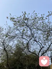 一个孩子在童年时期从来没有得到过关心和爱，可是长大后父母却要求她能给到家人关心和帮助，可能这个对于她来说是比较委屈的。