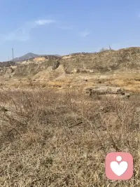 小时候父母对你的限制和要求，可能会内化成为你要求自己的标准，也形成了你的人生观和价值观。