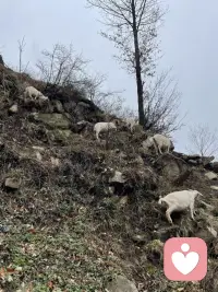 对自己不好，不喜欢自己的人，是不会真正喜欢别人；只有真心喜欢和爱自己的人，才懂得如何去爱和尊重一个人。配图