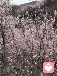 只有当我们能看见自己，看到自己当下的状态、内心的需求、然后去关照到自己的时候，我们才能有能力看见孩子，而不只是要求孩子，满足我们的期待，按照我们的要求去做，而是允许孩子有自己不同的想法，允许自己做自己，允许孩子做自己。配图