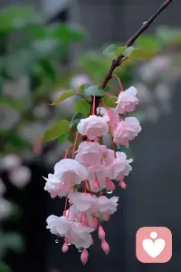 接纳我们自己的有限性，允许自己犯错，然后去成长自己，或许是不错的选择。配图