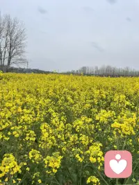 在和人相处的过程中，我们很容易回到我们旧有的模式当中，产生一些不好的情绪，这个很容易发生，也是正常的，只是需要我们平时多去觉察，识别出这种情绪，然后回到当下的状态，才能不被影响。配图