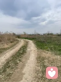 只有照顾到自己感受的人，才会知道自己内心的真实需求。配图