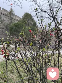 内向、敏感、不善于表达的人内心世界会比其他人更丰富，也更容易陷入内耗中，别人无意识的一个眼神，一个动作，也许你的内心可以挣扎好久，有时候会产生怀疑自己的想法，会特别累。