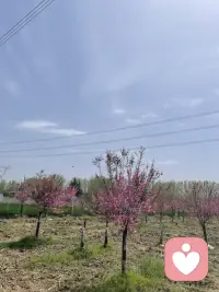 总是想满足别人的期待，做别人需要的事情，你是很难真正快乐的。