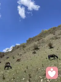 如果你把别人看得比你重要，那么别人很可能会轻视你。配图