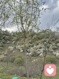 当我们的自我主体性缺失的时候，内核也是不稳定的，就容易受到外界的影响。